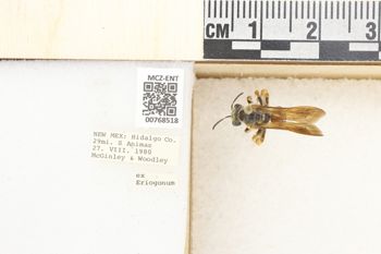 Media type: image;   Entomology 768518 Aspect: Labels
